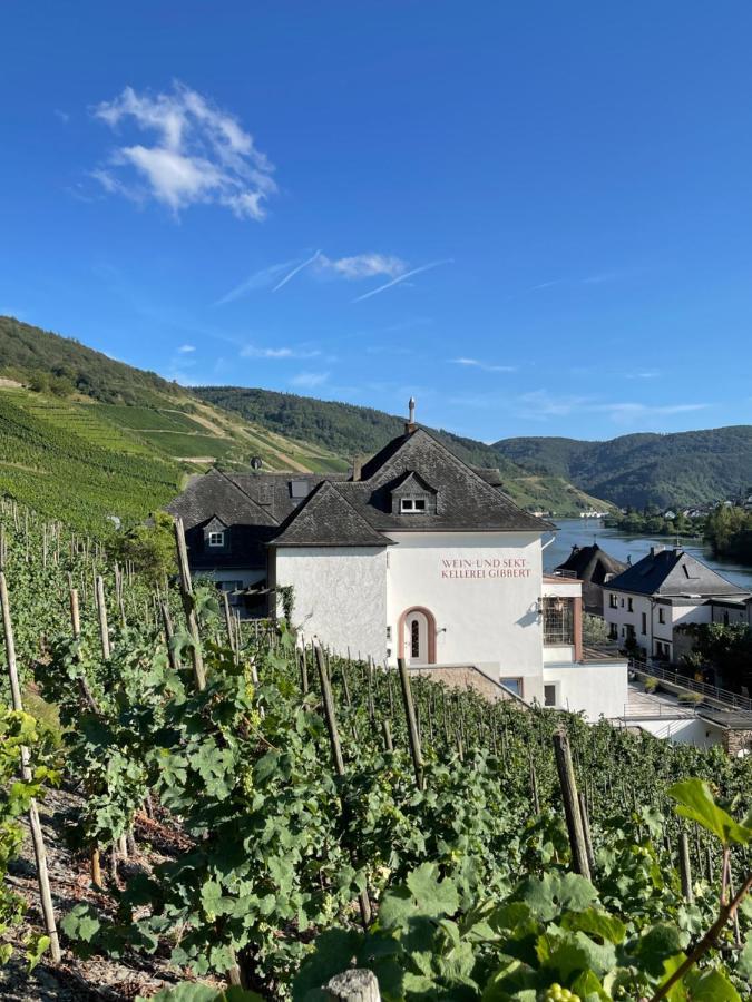 The Vineyard View Διαμέρισμα Zell an der Mosel Εξωτερικό φωτογραφία