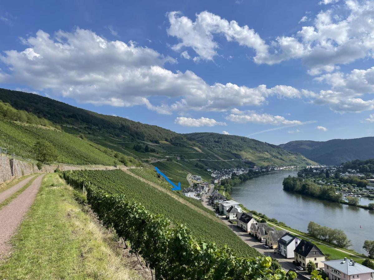 The Vineyard View Διαμέρισμα Zell an der Mosel Εξωτερικό φωτογραφία